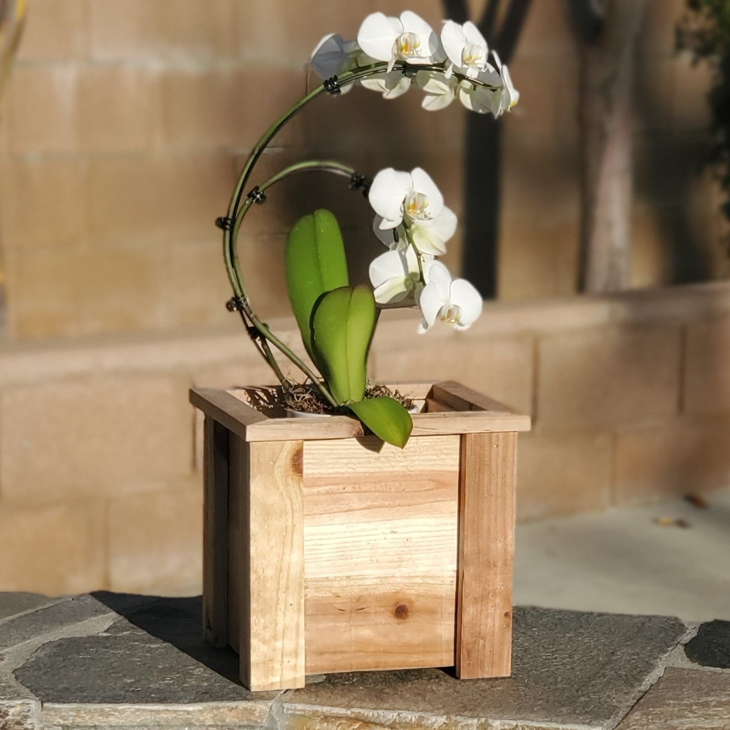 Small Cedar Planter Box - Handmade 11"x9" Western Red Cedar Wood